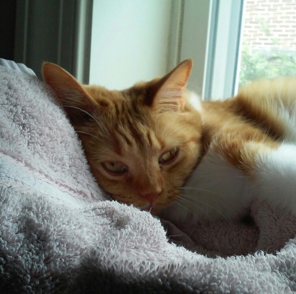 Meet your Posher, Ben - Picture 1 of 1